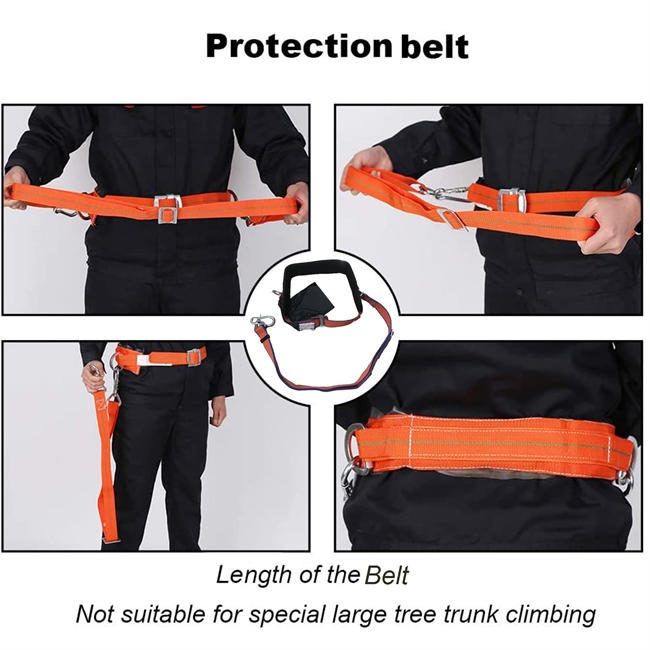 Tree Climbing Gear with Belt, Tree Climbing Spikes Non-Slip 2 Gear Aluminum Pole Spurs Adjustable Climbing Spikes for Hunting, Fruit Picking, Observation …